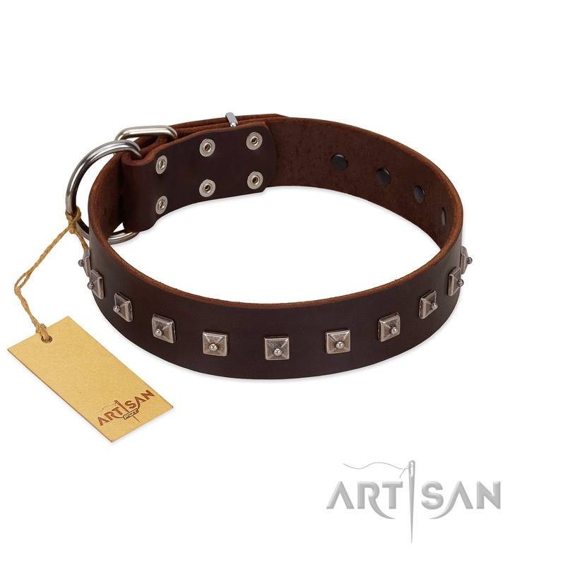 "Kingly Grace" FDT Artisan Brown Leather German Shepherd Collar with Silver-like Dotted Studs