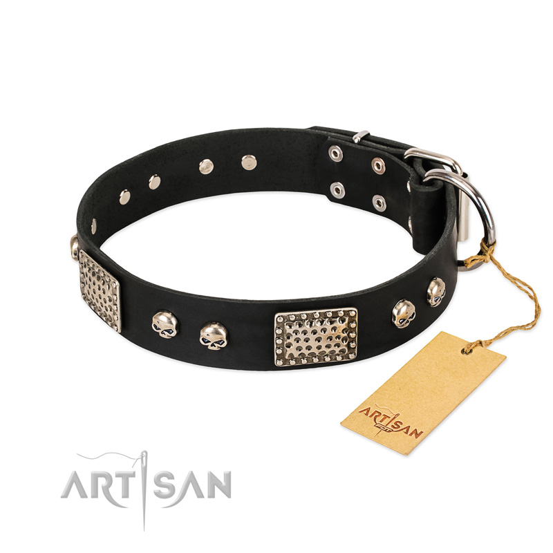 "Pirates Gold" FDT Artisan Black Leather German Shepherd Collar with Old Silver Look Plates and Skulls