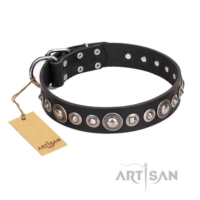 "Strict Elegance" FDT Artisan Black Leather German Shepherd Collar with Decorations