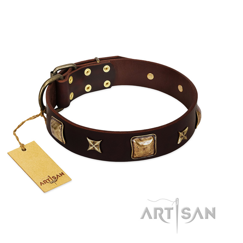 "Choco Dreams" FDT Artisan Brown Leather German Shepherd Collar with Squares and Stars