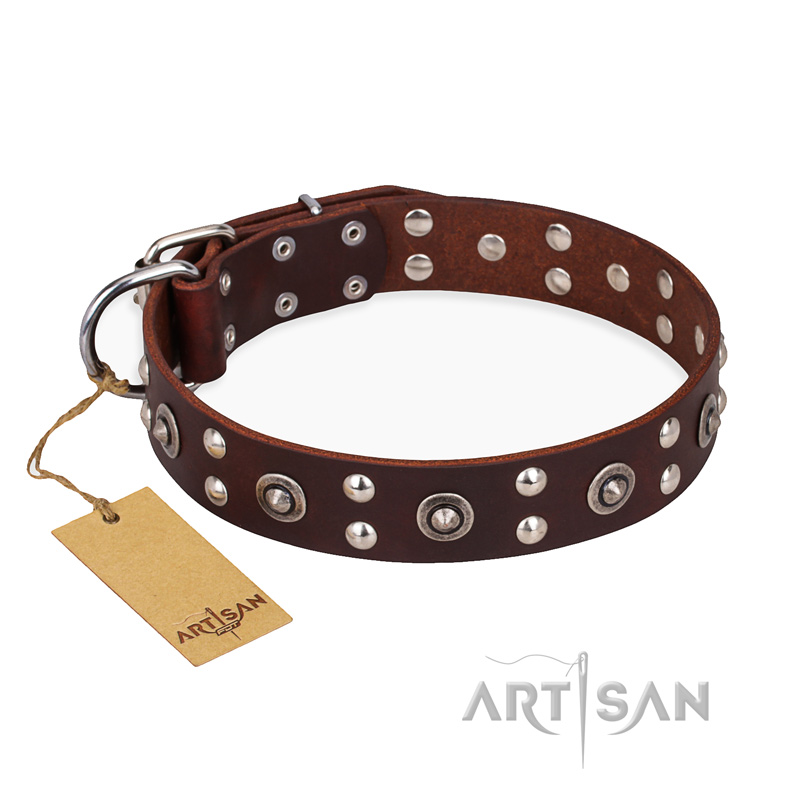 "Pirate Treasure" FDT Artisan Exciting Brown Leather German Shepherd Collar with Studs