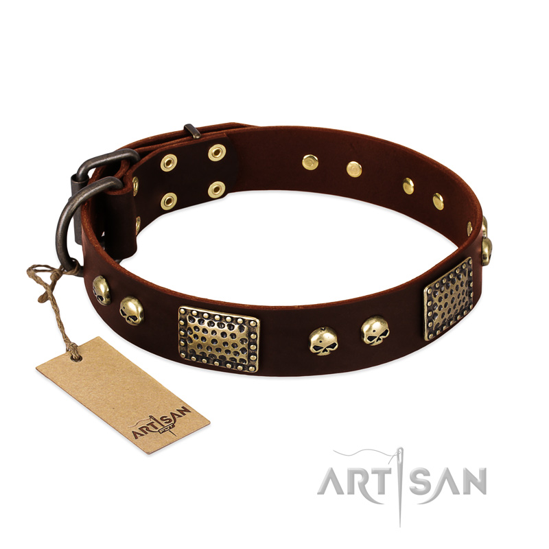 "Magic Amulet" Brown Leather German Shepherd Collar with Skulls and Plates