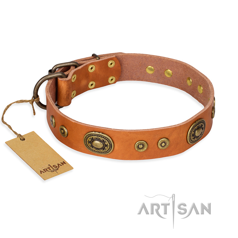 "Dandy Pet" FDT Artisan Handcrafted Tan Leather German Shepherd Collar