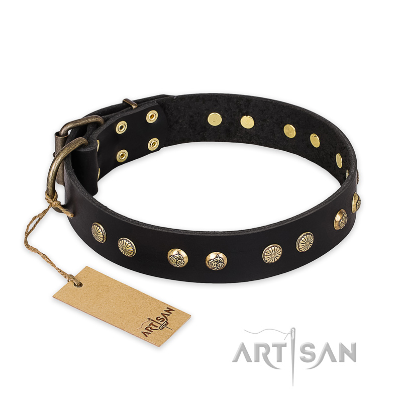 "Black Elegance" FDT Artisan Leather German Shepherd Collar with Round Studs