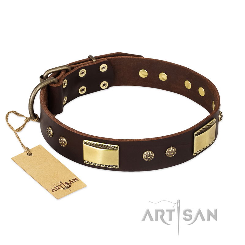 "Rich Fashion" FDT Artisan Decorated Leather German Shepherd Collar with Plates and Studs