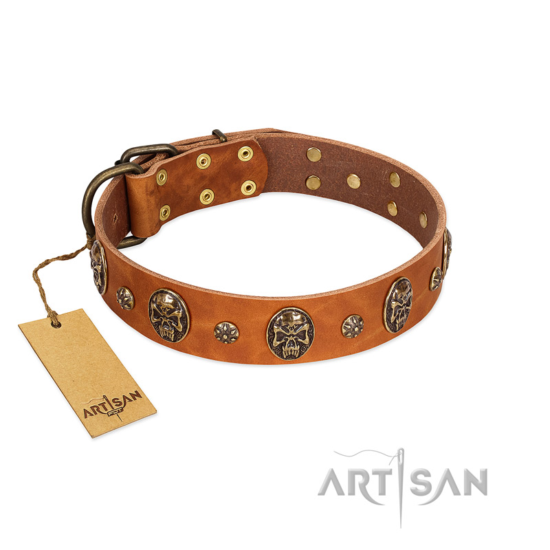 "Rockstar" FDT Artisan Tan Leather German Shepherd Collar with Engraved Studs and Medallions