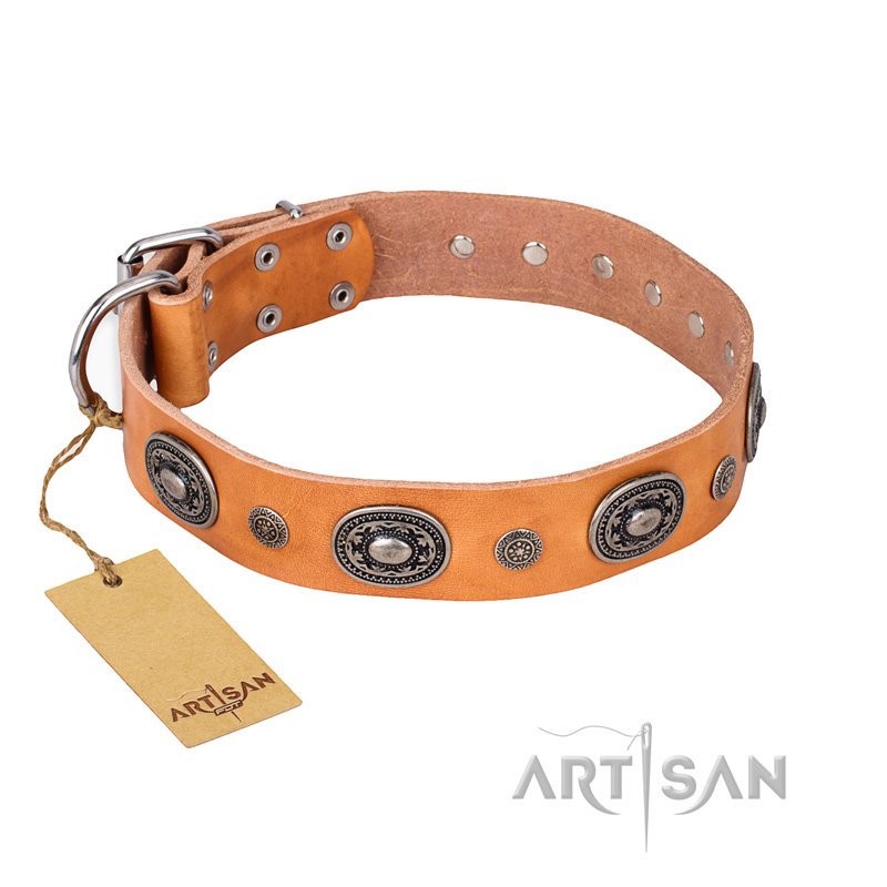 "Twinkle Twinkle" FDT Artisan Incredible Studded Tan Leather German Shepherd Collar