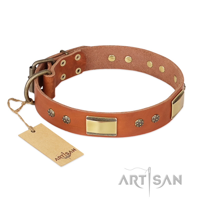 "Enchanting Spectacle" FDT Artisan Tan Leather German Shepherd Collar with Old Bronze Look Plates and Round Studs