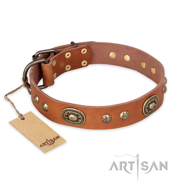"Stunning Dress" FDT Artisan Tan Leather German Shepherd Collar with Old Bronze Look Plates and Studs