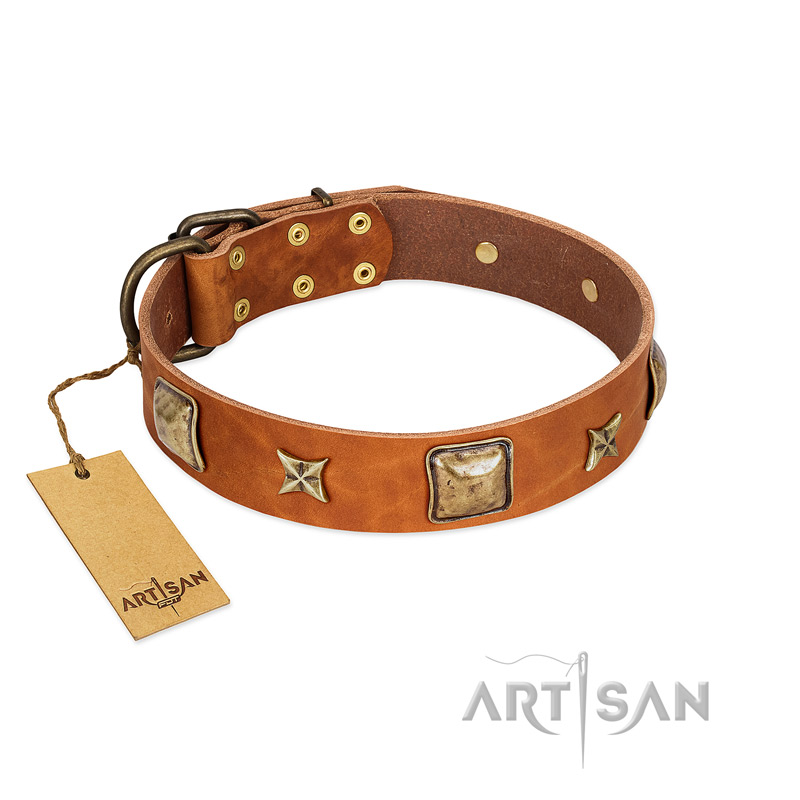 "Celtic Tunes" FDT Artisan Tan Leather German Shepherd Collar Adorned with Stars and Squares