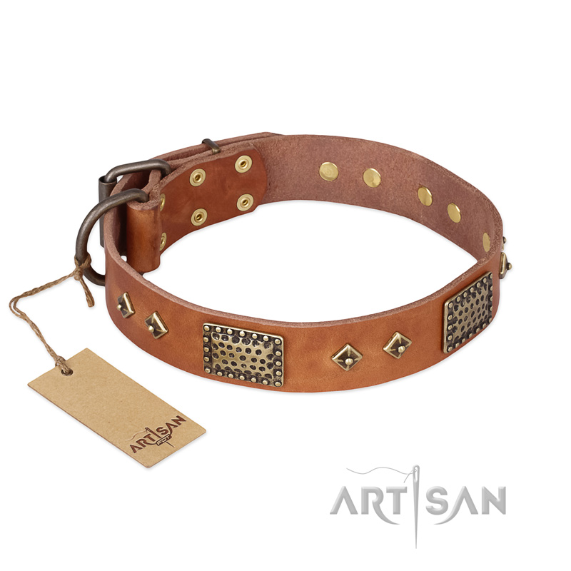 "Catchy Look" FDT Artisan Decorated Tan Leather German Shepherd Collar