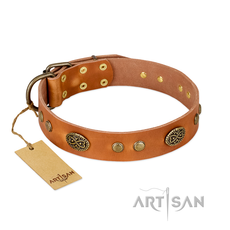 "Sun Beams" FDT Artisan Tan Leather German Shepherd Collar with Decorations