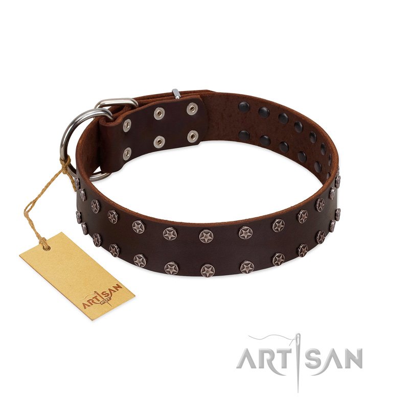 "Star Party" Handmade FDT Artisan Brown Leather German Shepherd Collar with Silver-Like Studs - Click Image to Close
