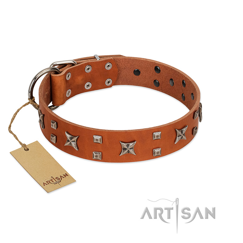 "Faraway Galaxy" FDT Artisan Tan Leather German Shepherd Collar Adorned with Stars and Squares
