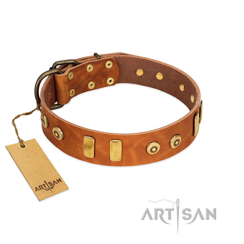 "Egyptian Script" FDT Artisan Tan Leather German Shepherd Collar with Plates and Small Studs