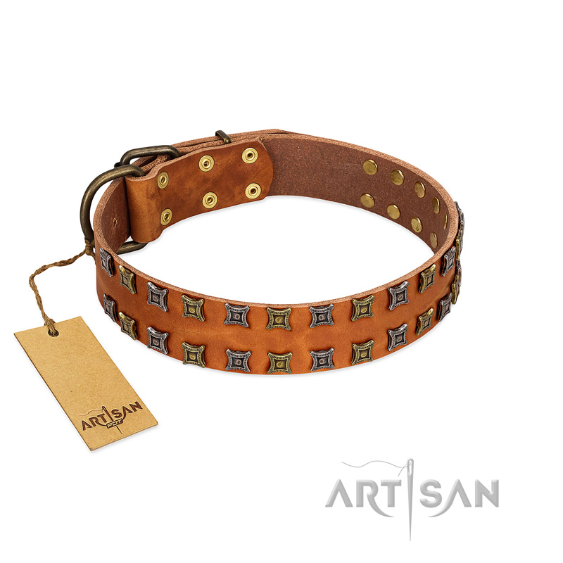"Terra-cotta" FDT Artisan Tan Leather German Shepherd Collar with Two Rows of Studs