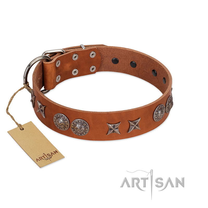 "Splendid Armor" Premium Quality FDT Artisan Tan Designer German Shepherd Collar with Shields and Stars