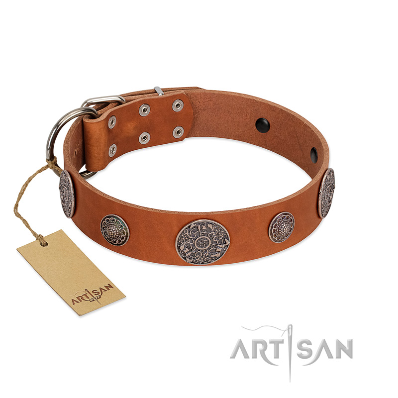 "Foxy Nature" FDT Artisan Tan Leather German Shepherd Collar with Chrome Plated Brooches