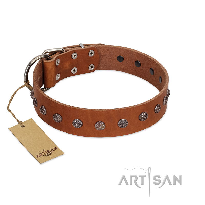 "Daintiness" Designer Handmade FDT Artisan Tan Leather German Shepherd Collar with Silver-Like Adornments
