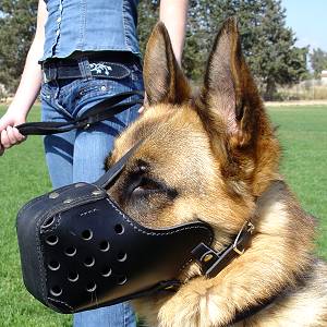 Leather Dog Muzzle "Dondi" Style For German Shepherd