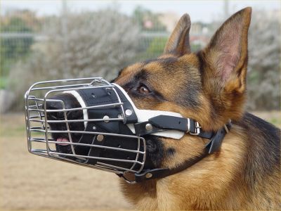 padded dog muzzle
