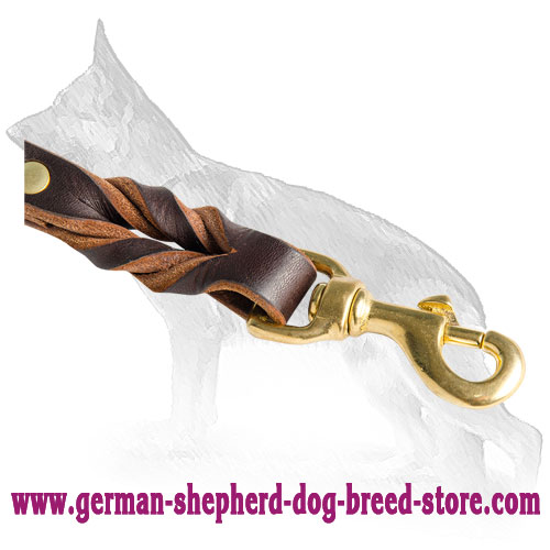 Brass Snap Hook On Dog Leash Rustproof