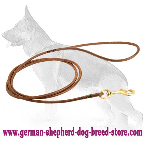 Unordinary German Shepherd Leash