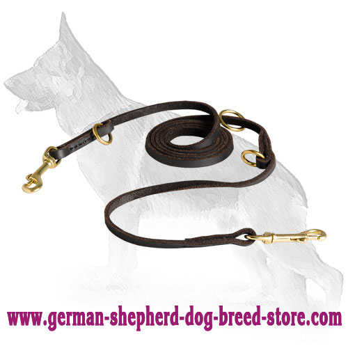 German Shepherd Leash for Many Activities