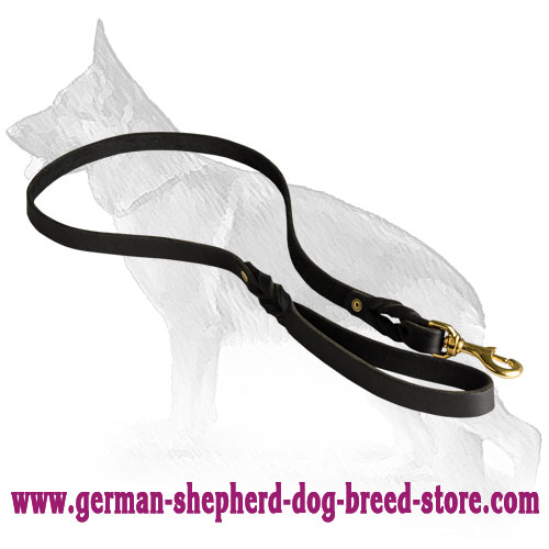 German Shepherd Leash for Many Activities