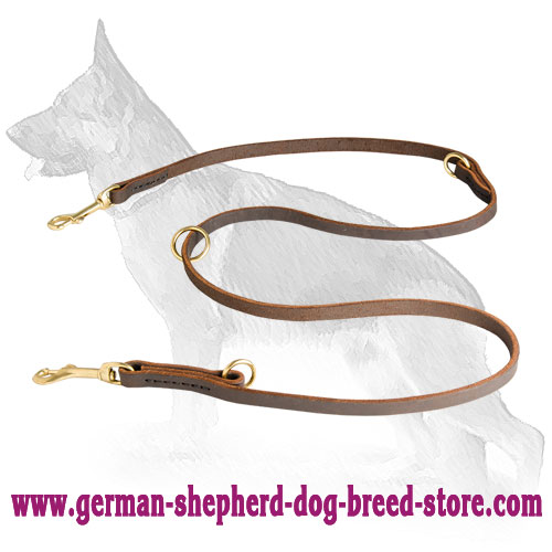 German Shepherd Leash for Many Activities