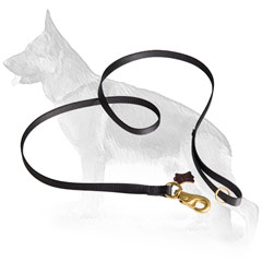 Strong Nylon German Shepherd Leash with Massive Brass Snap Hook