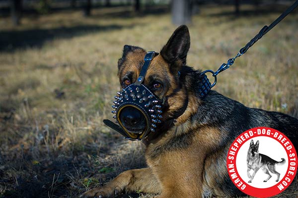 Leather German Shepherd Muzzle with Nappa Padding