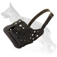 Brilliant Leather Dog Muzzle