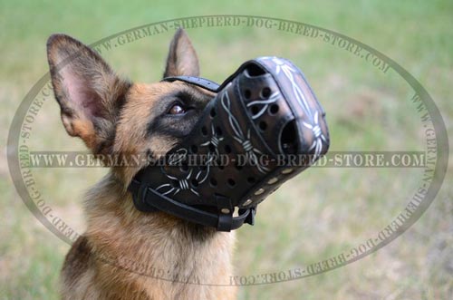 Miraculous German Shepherd Muzzle