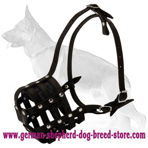 Exclusive Luxury Handcrafted Leather Dog 【Harness】 : German Shepherd Breed: Dog  harnesses, Muzzles, Collars, Leashes