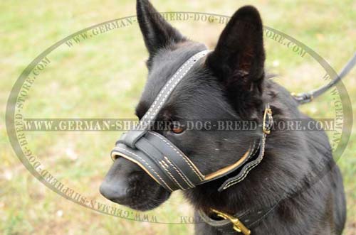 German Shepherd Dog Muzzle For Comfort Walking