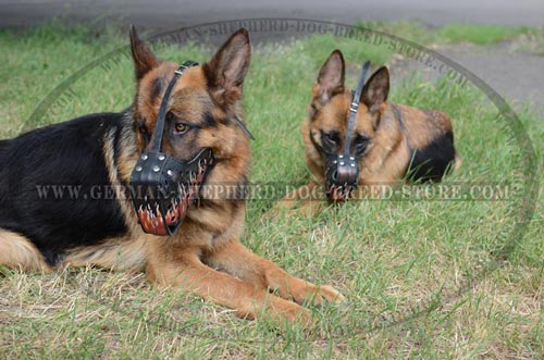 Flames Painted German Shepherd Dog Muzzle