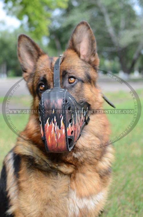 Perfect Dog Muzzle For Your German Shepherd
