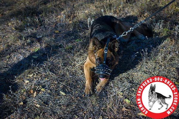 Trendy Decor Leather Dog Muzzle for German Shepherd