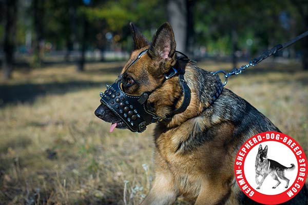 Padded Leather Muzzle with Adjustable Straps