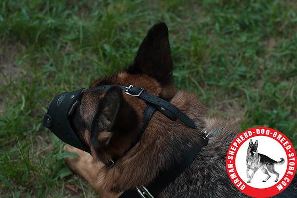 Leather German Shepherd Muzzle with Adjustable Straps