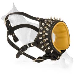 Stylish Spiked German Shepherd Breed Muzzle