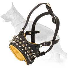 Unusual German Shepherd Dog Muzzle With Spikes