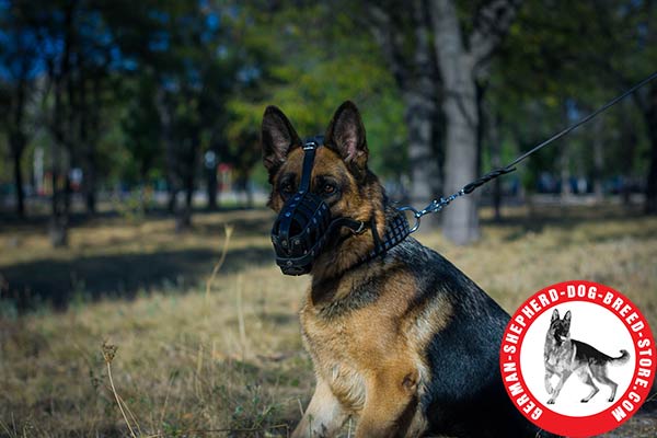 Ventilated Leather German Shepherd Basket Muzzle