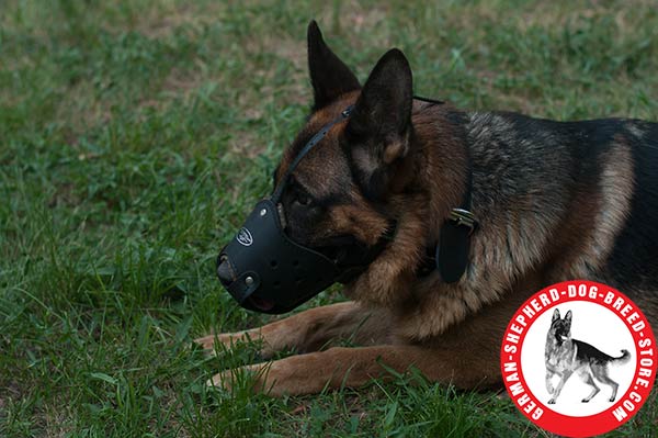 Universal Leather Muzzle for German Shepherd