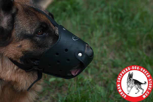 Perfectly Ventilated Leather Muzzle for German Shepherd